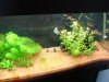 DSC04105.JPG