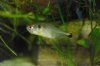 DSC_1247.jpg