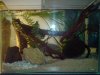 DSC00010 625.JPG