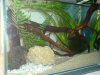 DSC00011 625.JPG