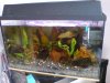 DSC01699.JPG