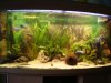 DSC05423.JPG