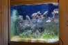 DSC03348.jpg