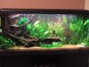 Aquarium.JPG
