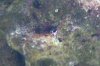 DSC03573.jpg