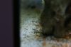 DSC03634.jpg