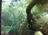 26-12-08_2236.jpg