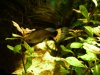 DSCF1475.JPG