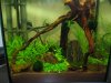 AquaArt30_ Forum.jpg
