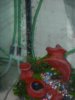 DSCN2029.JPG