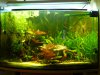 becken200822.jpg