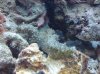 DSC00222.jpg