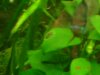 DSC04229.JPG