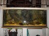 600_DSC03296.jpg