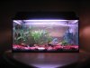 Aquarium 012_b.jpg