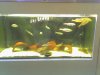 10-07-06_0851.jpg