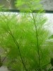 DSC07945.jpg