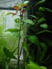DSC07944.jpg
