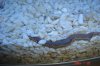 DSC03943_600x400.jpg