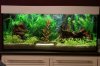 DSC03511.JPG