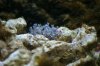 DSC04937.JPG
