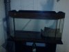 DSC00074.JPG