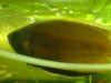 DSC01058.jpg