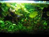 54l-AQ 008.jpg