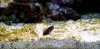 DSC05123.jpg