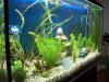 100_2043.JPG