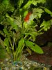 IMG_0059.JPG