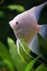 DSC03851.jpg