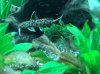 DSC00116.JPG