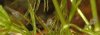DSCF5109.jpg