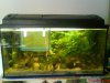 DSC00170.JPG