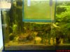 DSC00172.JPG