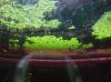 DSCF1378.jpg
