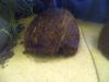 BILD0183_200_150.jpg