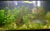 DSC00544.jpg