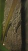 IMGA0992_800x1422.JPG