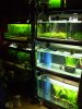 Aquarienwand.jpg