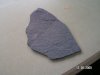 PICT0735.JPG