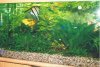 Aquarium 10-96.jpg