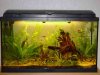 Aquarium.jpg