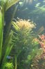 2009_09_28_Gesamt_und_Details_0007.JPG