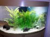 2009-12-22 17.47.26.jpg