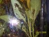 100_0601.JPG