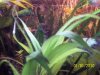 100_0604.jpg