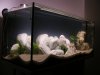 DSCF0149.JPG