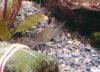 DSC00144.JPG